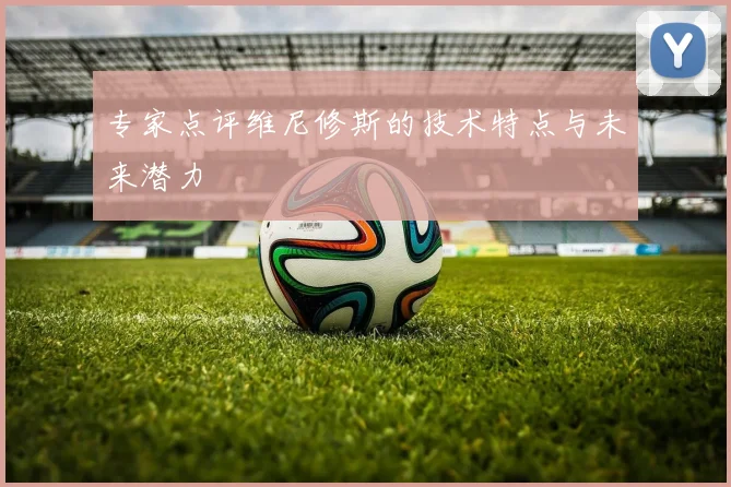 专家点评维尼修斯的技术特点与未来潜力