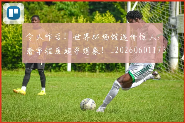 令人咋舌！世界杯场馆造价惊人，奢华程度超乎想象！_20260601173411_20260704165452